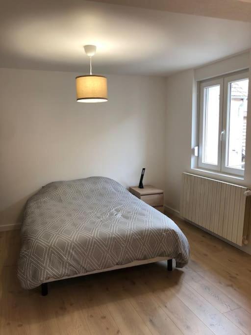Appartement Moderne & Lumineux 40M2 Centre Luxeuil 外观 照片