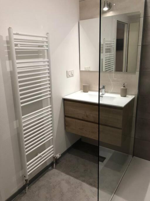 Appartement Moderne & Lumineux 40M2 Centre Luxeuil 外观 照片